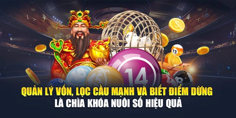 Quản lý vốn, lọc cầu mạnh và biết điểm dừng là chìa khóa nuôi số hiệu quả